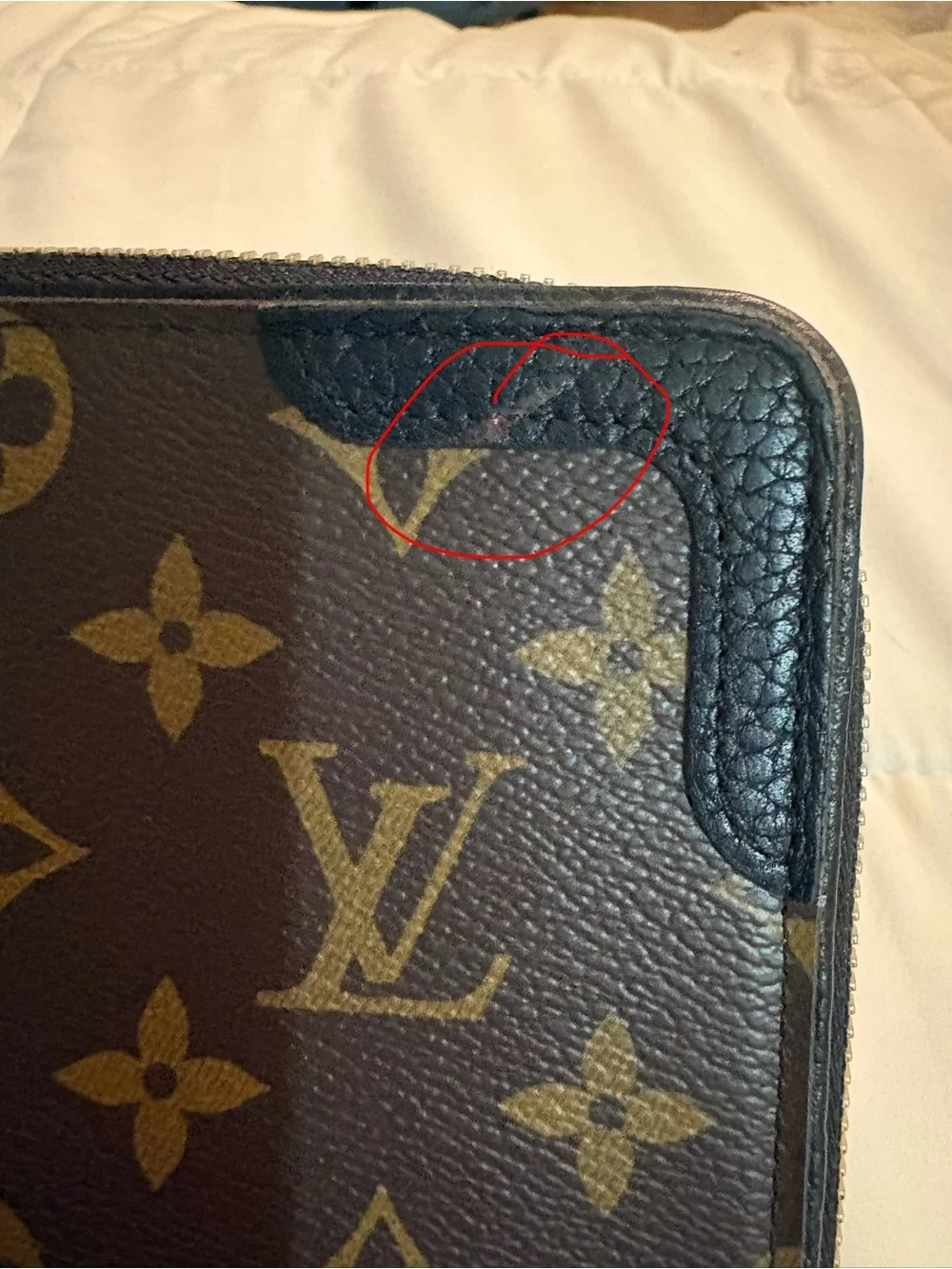 Louis Vuitton Monogram Macassar Daily Organizer